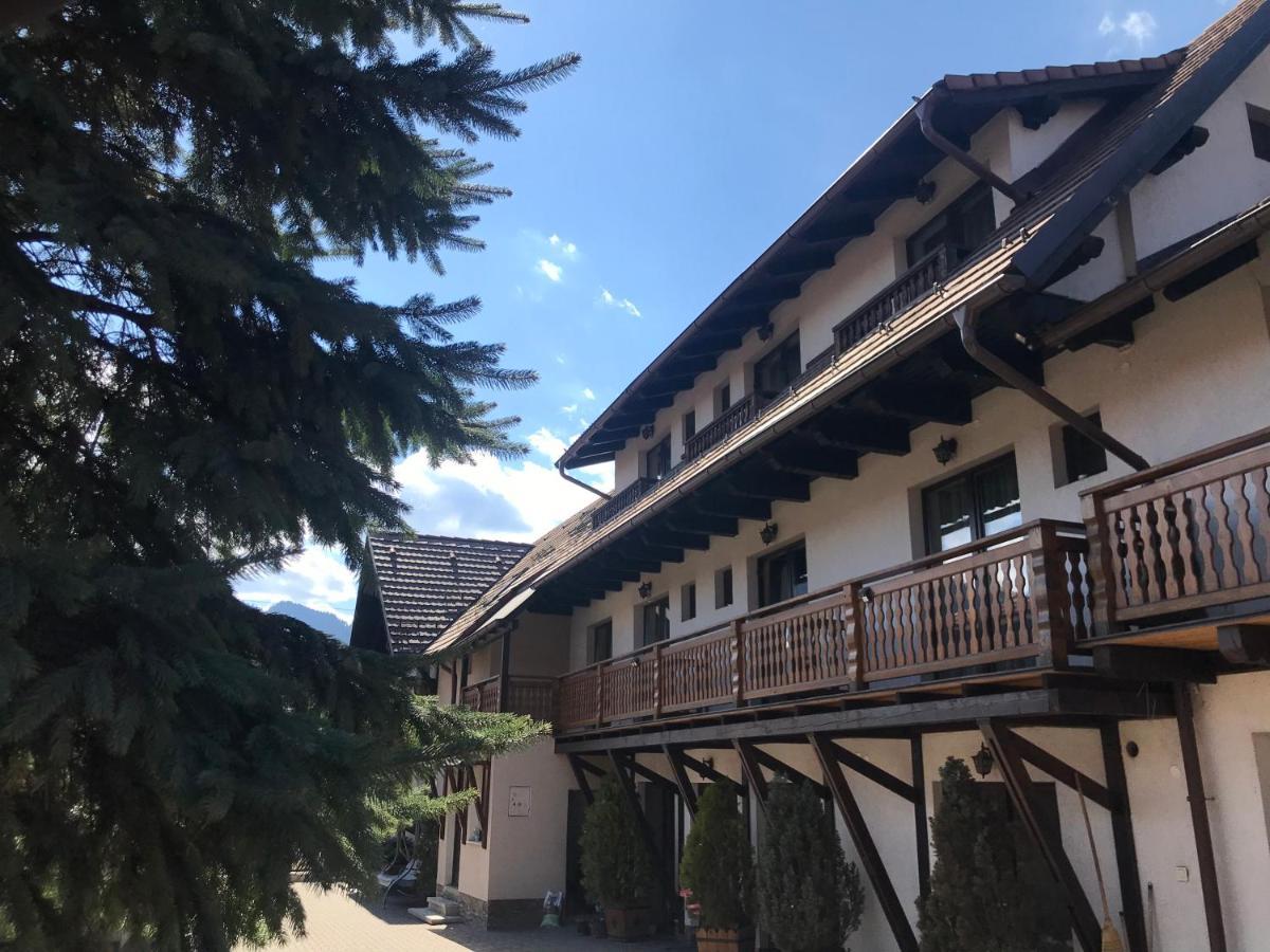 Pensiunea Haiduc Sacele Brasov Exteriör bild