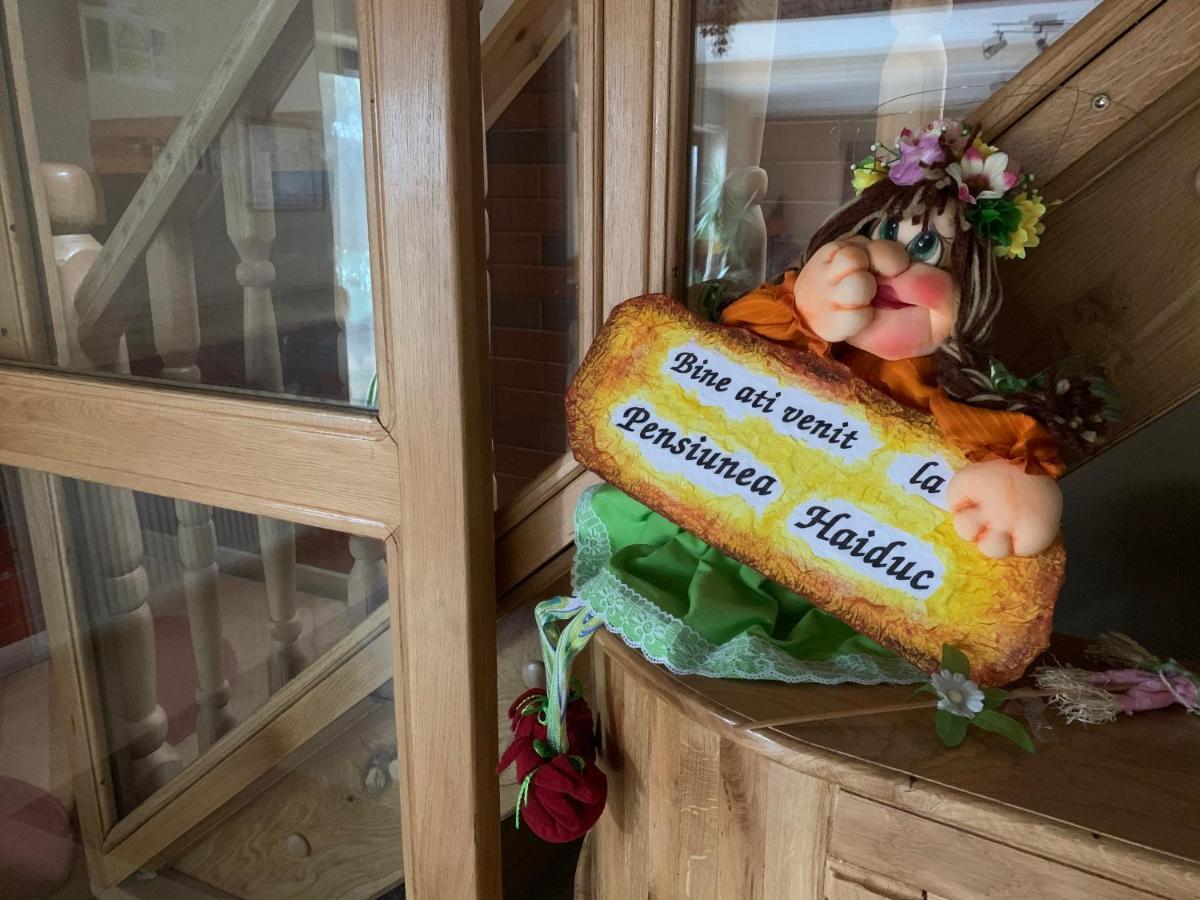 Pensiunea Haiduc Sacele Brasov Exteriör bild